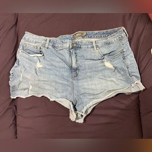 Women’s Size 20 Torrid Denim Shorts